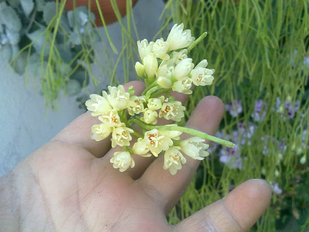 03032012820.jpg