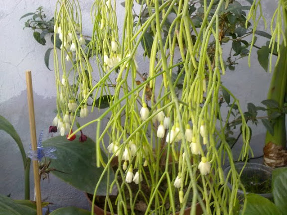 03032012823.jpg