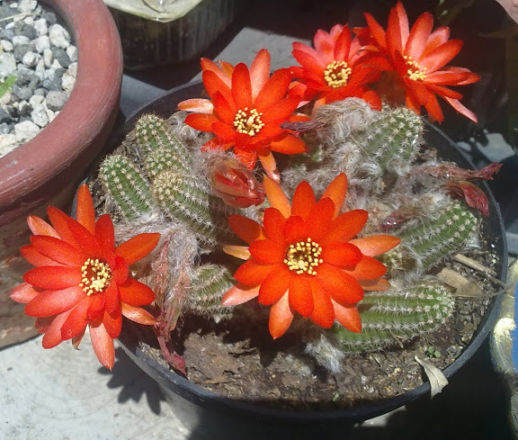 030420121177.jpg