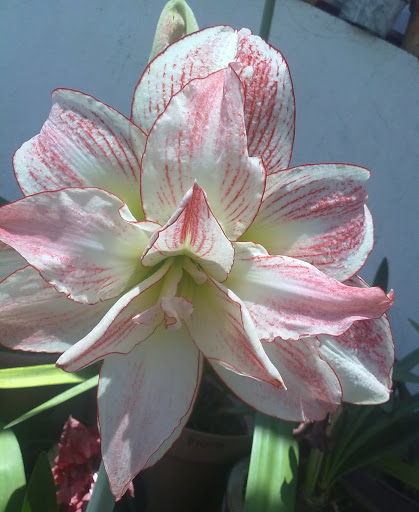 030420121182.jpg