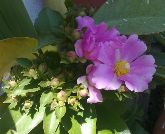 030420121191.jpg