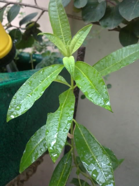 03052011127.jpg