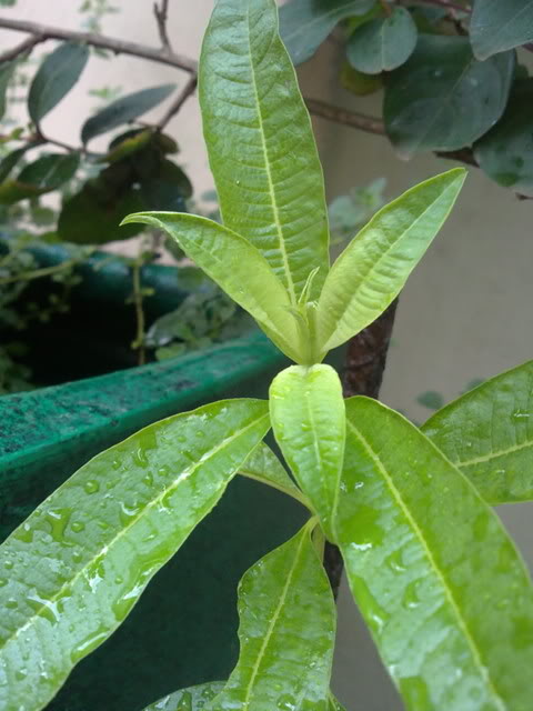 03052011128.jpg