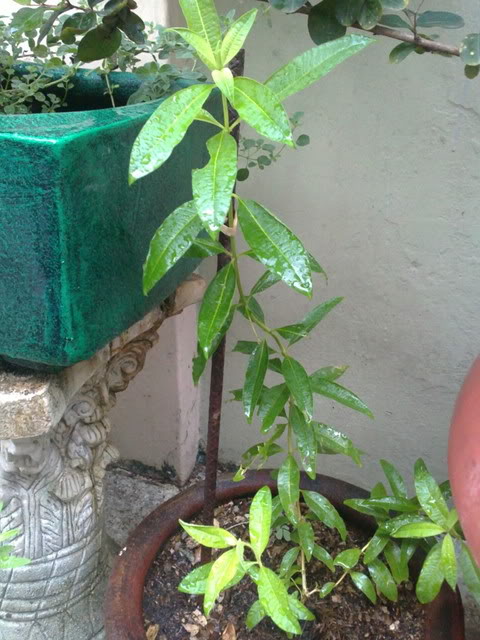 03052011129.jpg