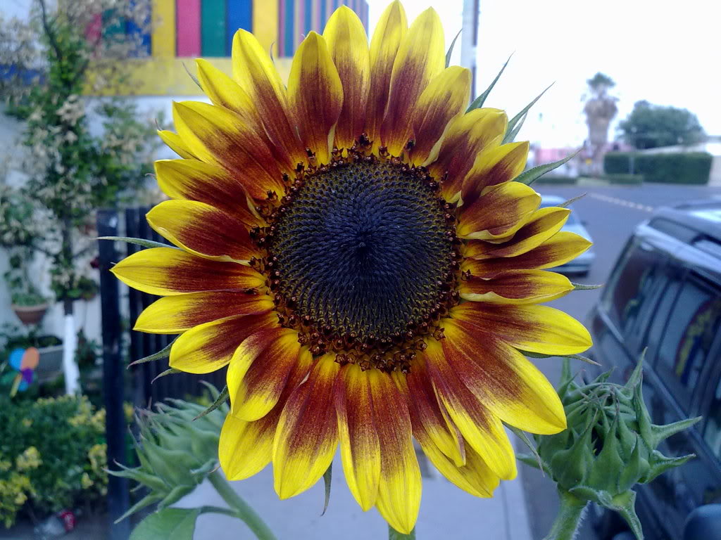 030520118866.jpg