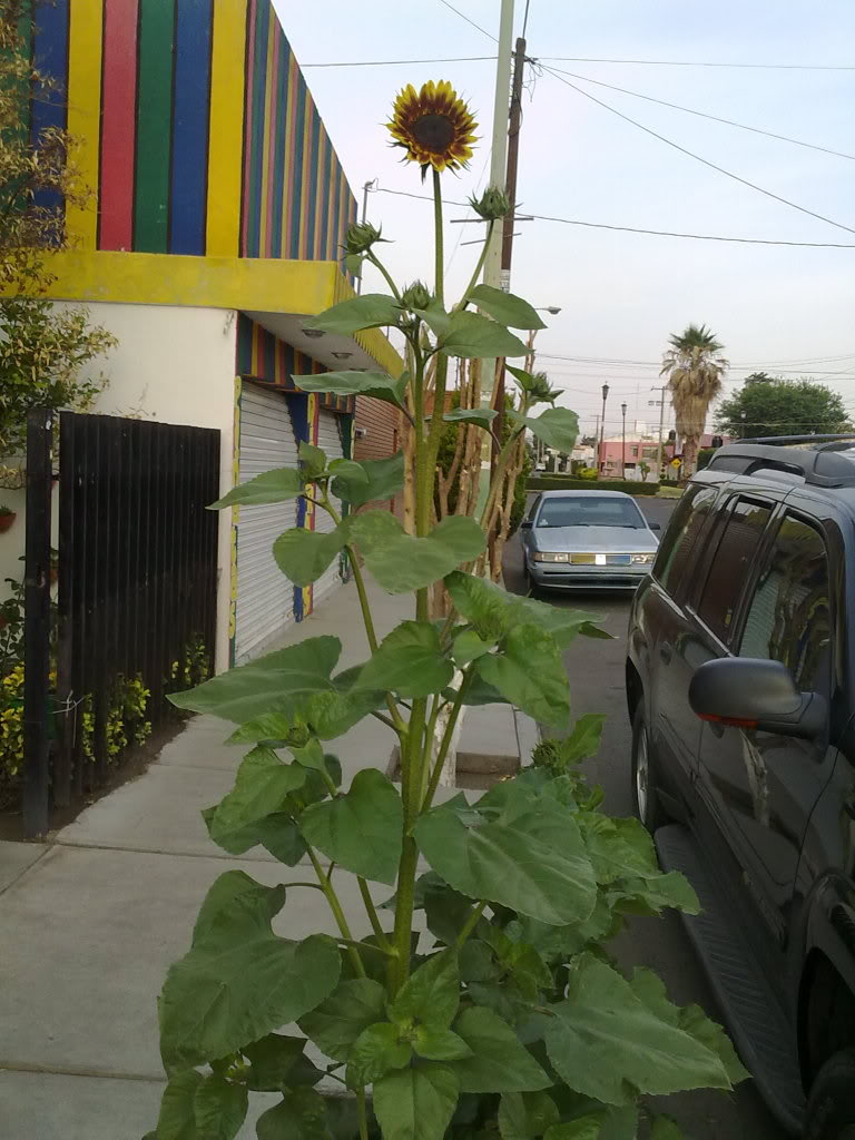 030520118867.jpg