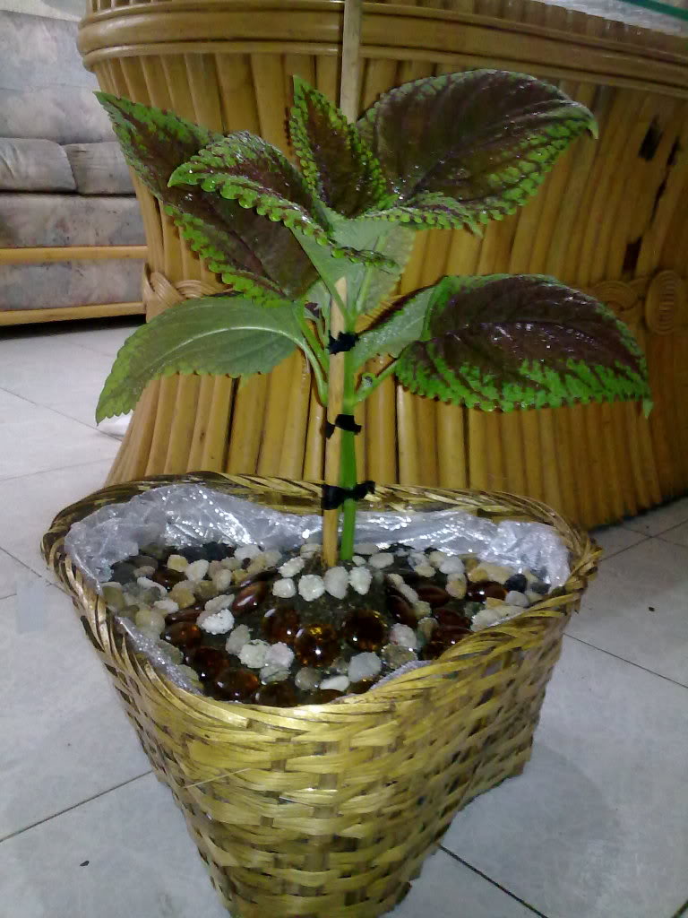 030620119504.jpg