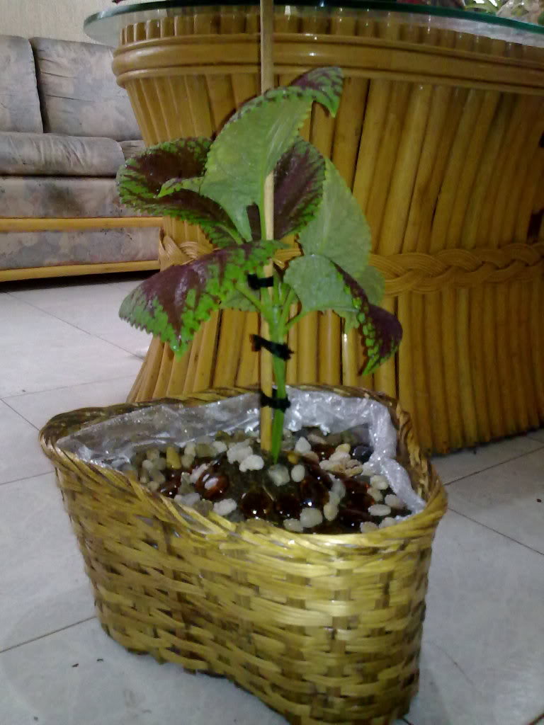 030620119505.jpg