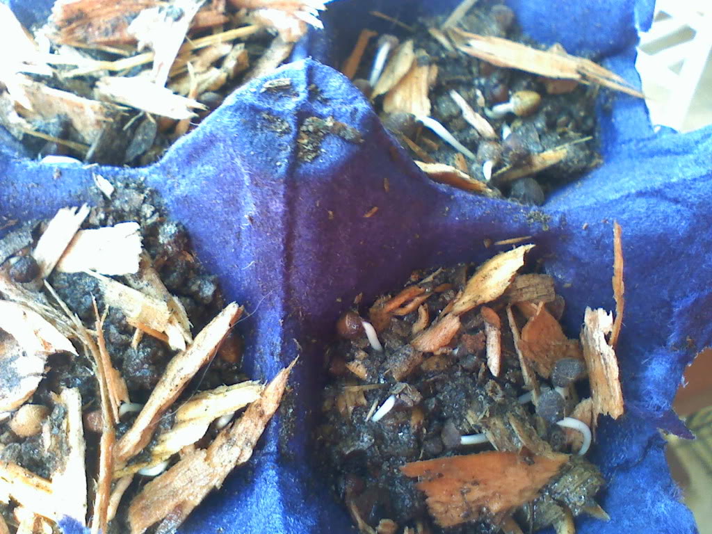 030810091214.jpg