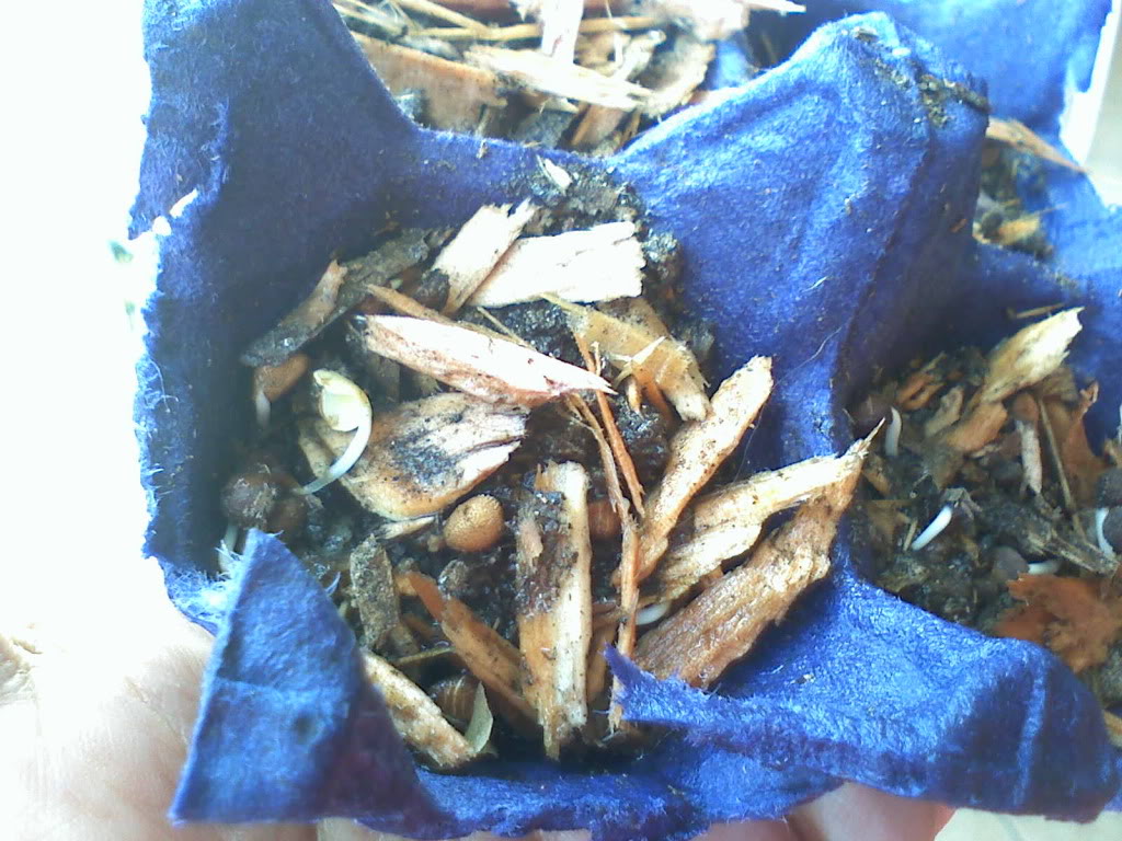 030810091301.jpg
