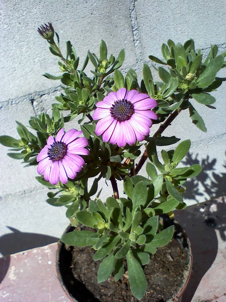 030810133151-1.jpg