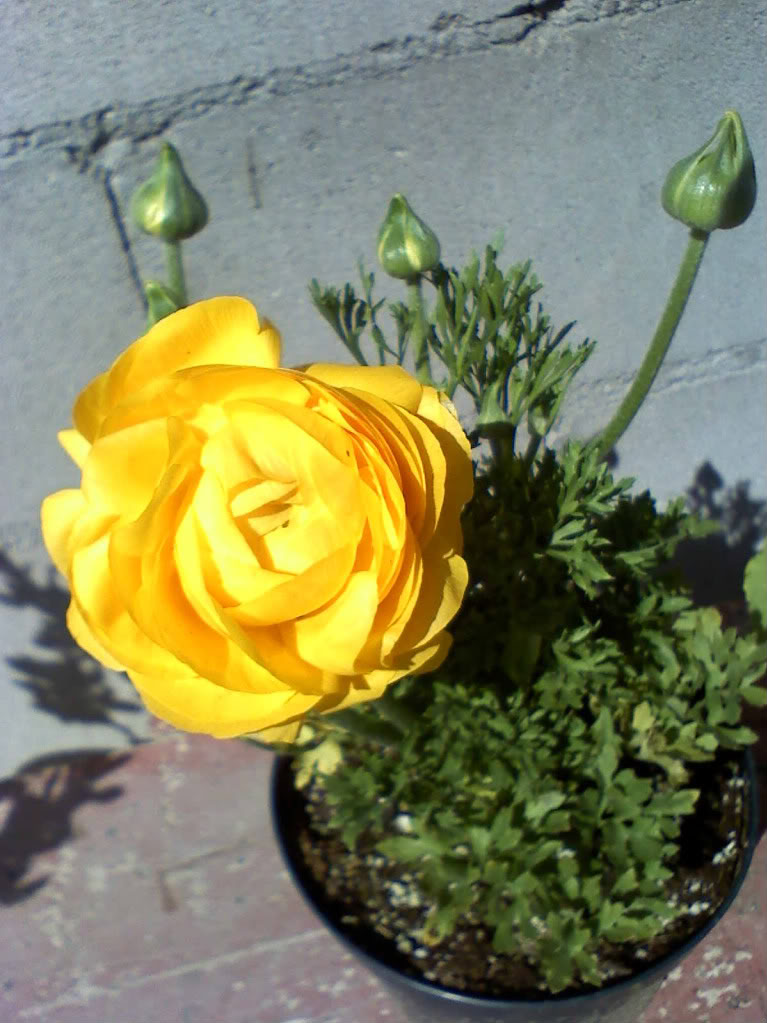 030810133205-1.jpg