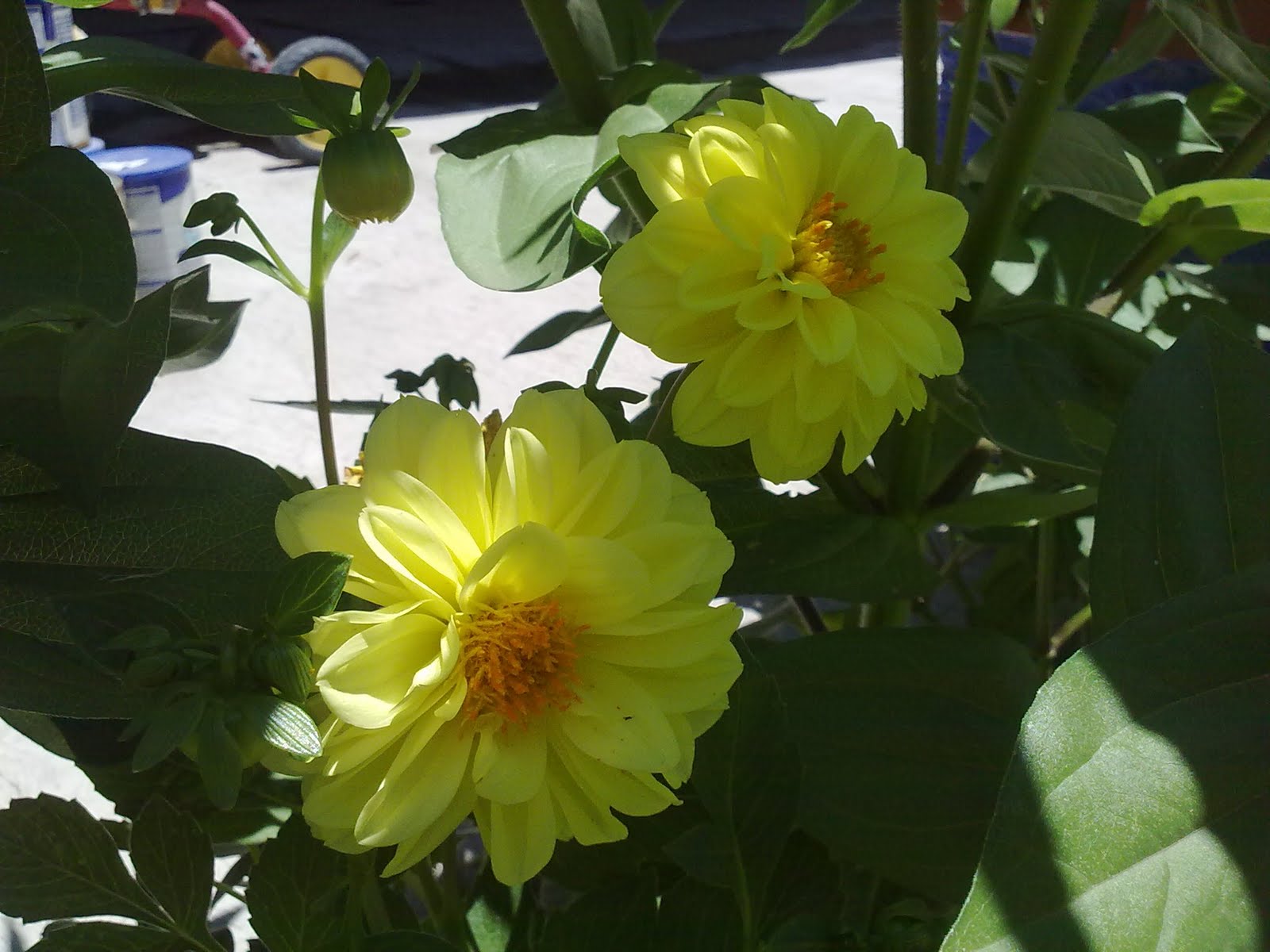 030820102232.jpg
