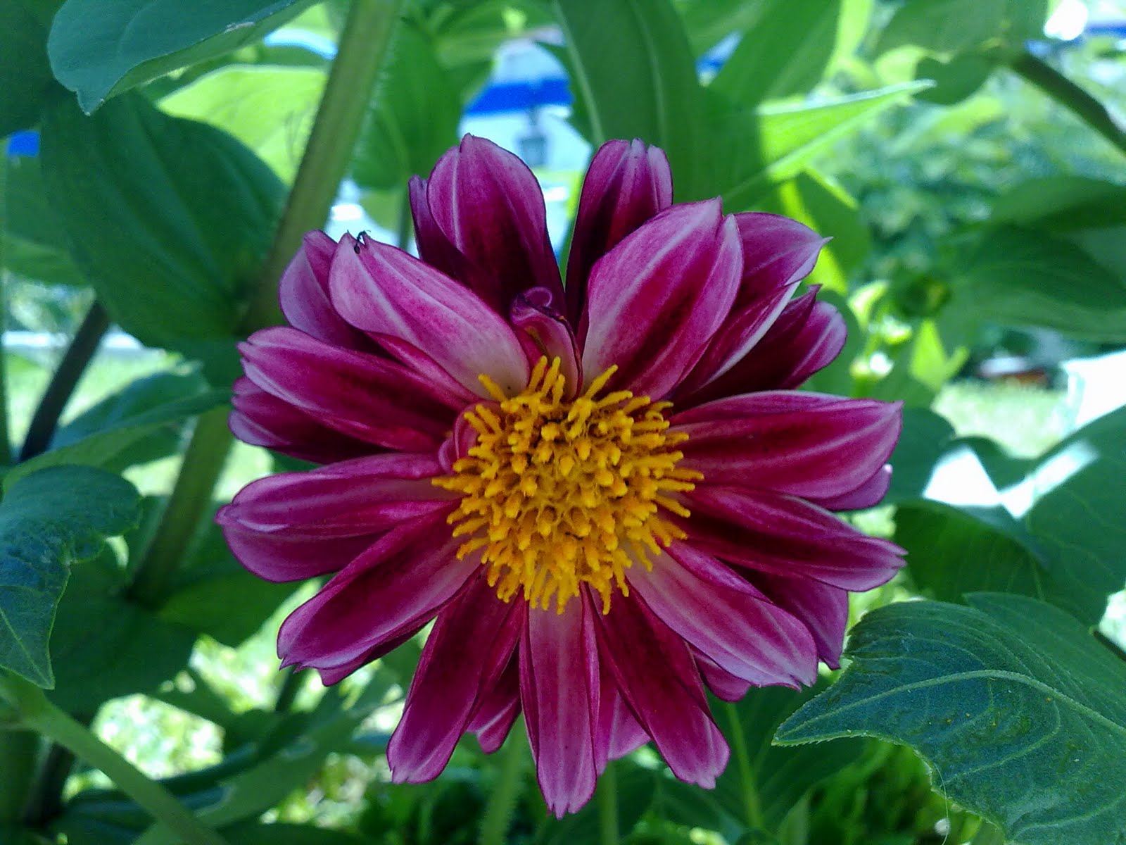 030820102235.jpg