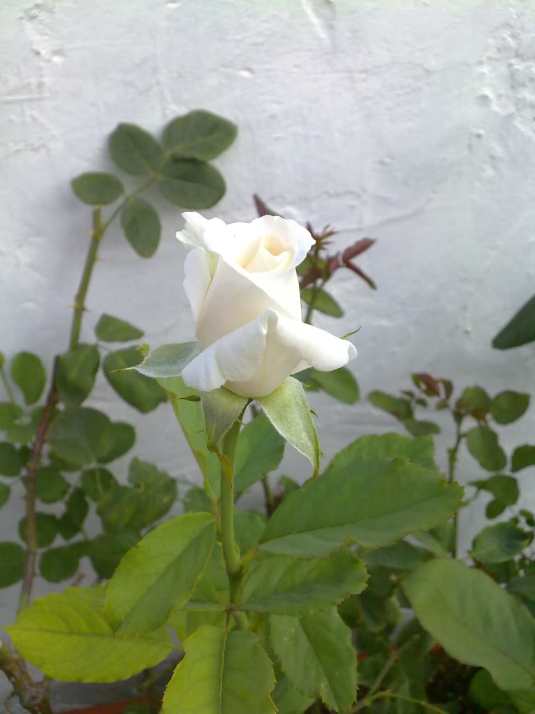 03082010742.jpg