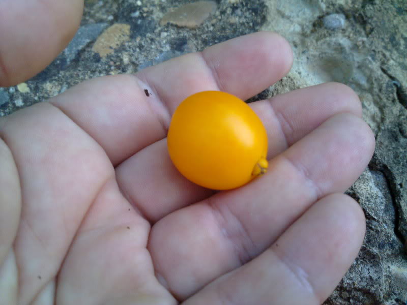 030820111606.jpg