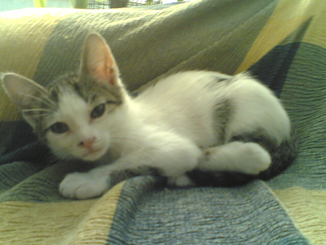 03092007(005).jpg