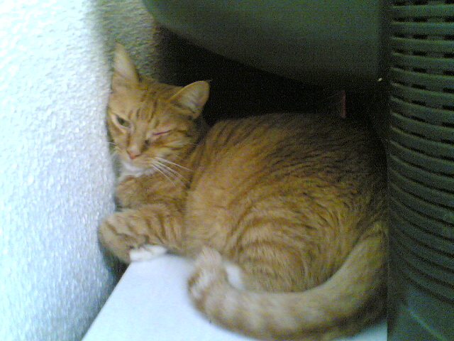 03092007(009).jpg