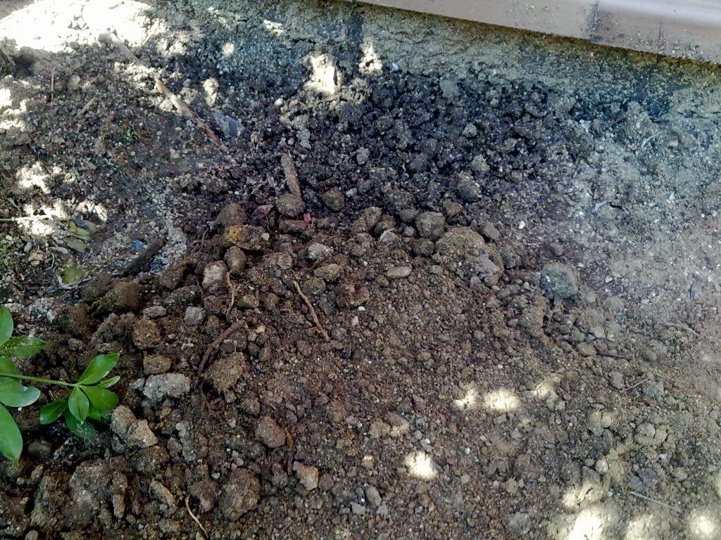 03092010059.jpg