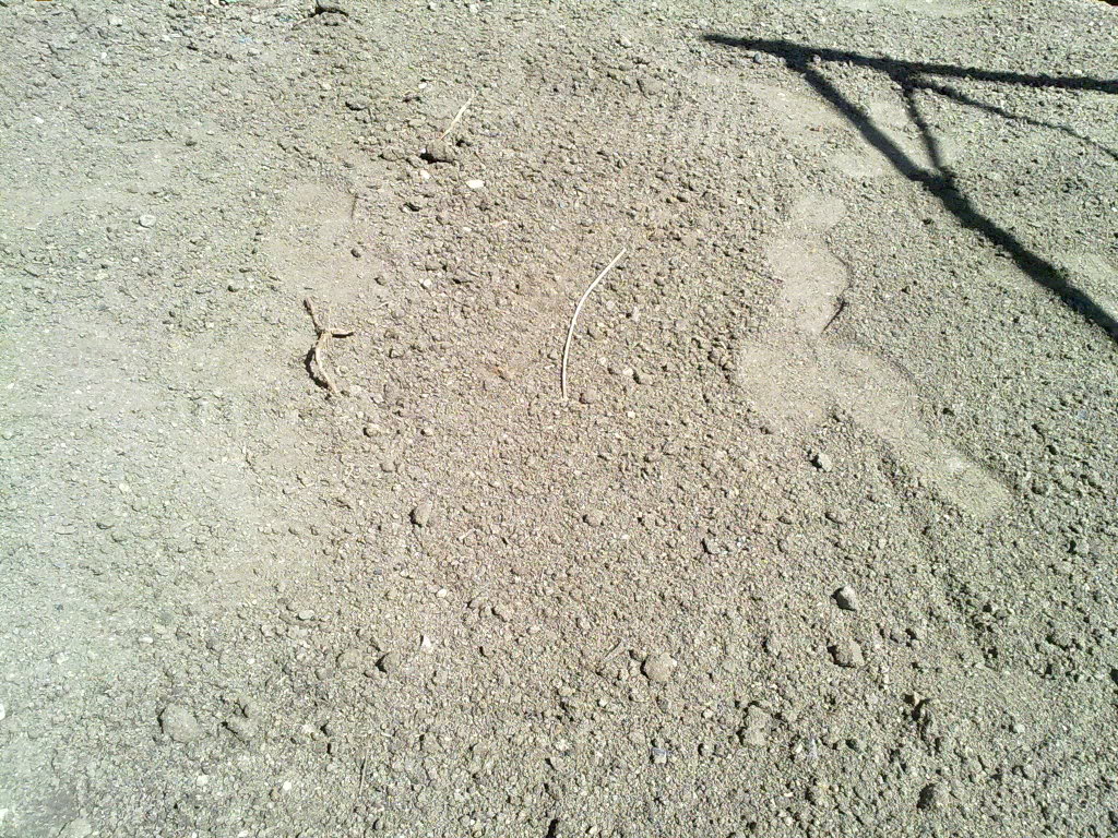 03092010060.jpg