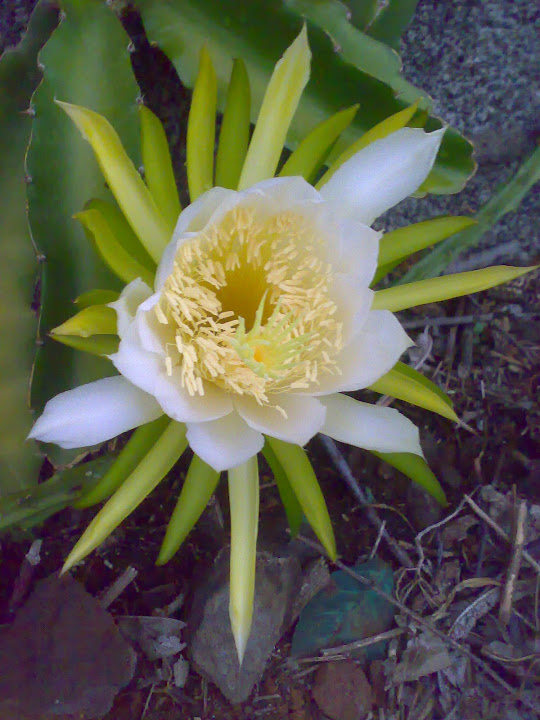 0309201213972.jpg
