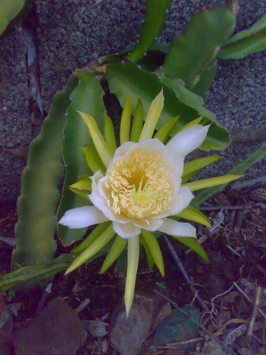 0309201213975.jpg