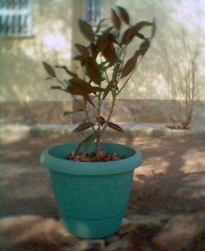 0317_110115.jpg