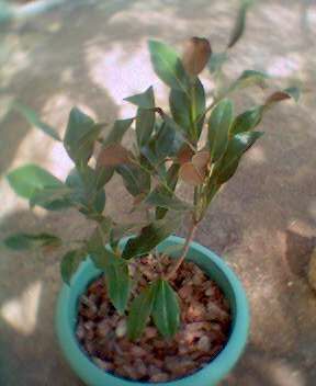 0317_110130.jpg