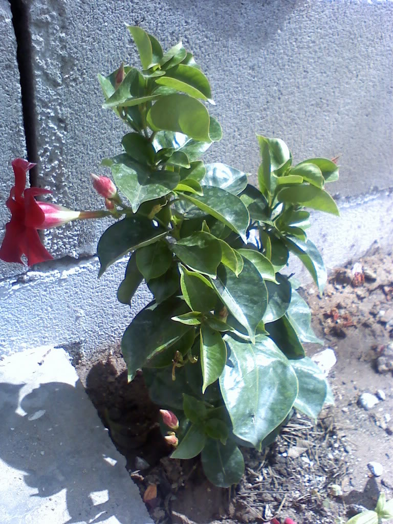 032210130713.jpg