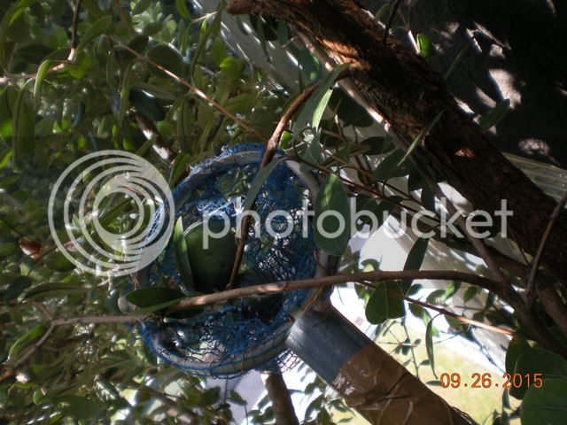 033_zpsfrew283s.jpg