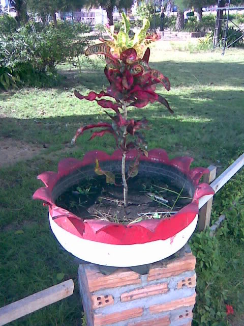 035-5.jpg