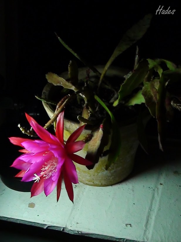 03_planta.jpg