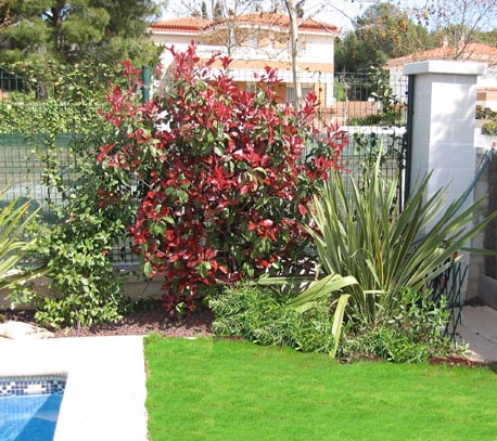 03piscina%2Cphotinia%20abril2004.jpg
