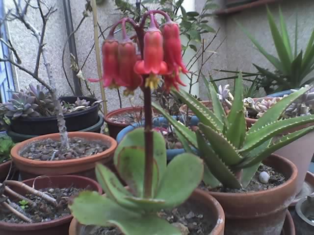 04-02-07_1228.jpg