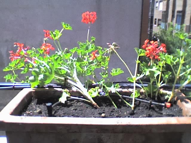 04-06-06_1529.jpg
