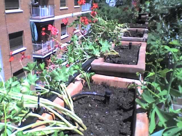 04-06-06_1530.jpg