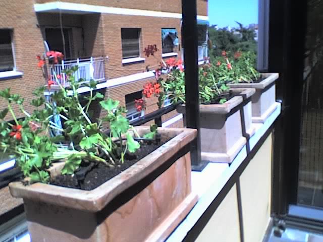 04-06-06_1531.jpg