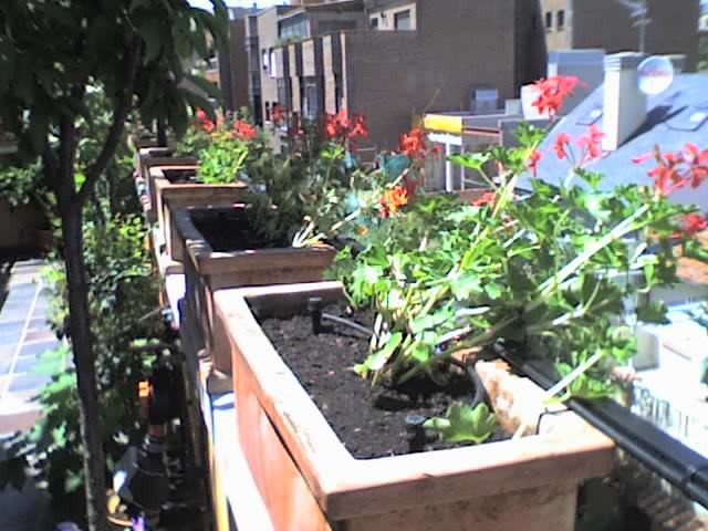 04-06-06_1532.jpg