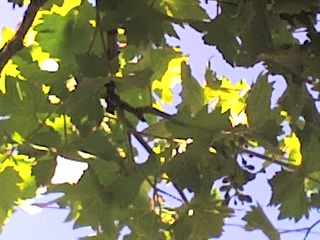 04-06-06_1632.jpg