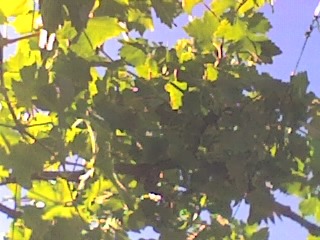 04-06-06_1633.jpg