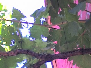 04-06-06_1634.jpg