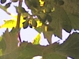 04-06-06_1636.jpg