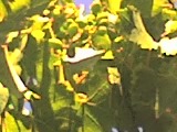 04-06-06_1637.jpg