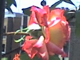 04-06-06_1639.jpg