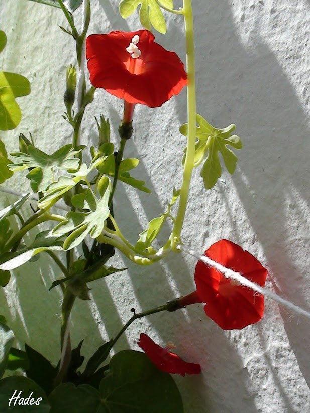 04.jpg
