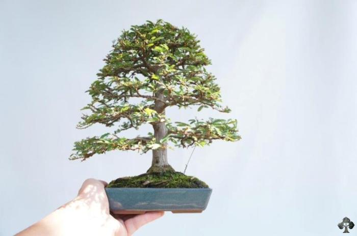 04-shohin.jpg