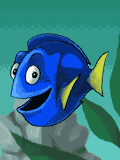 040108poissonchirurgien05.gif