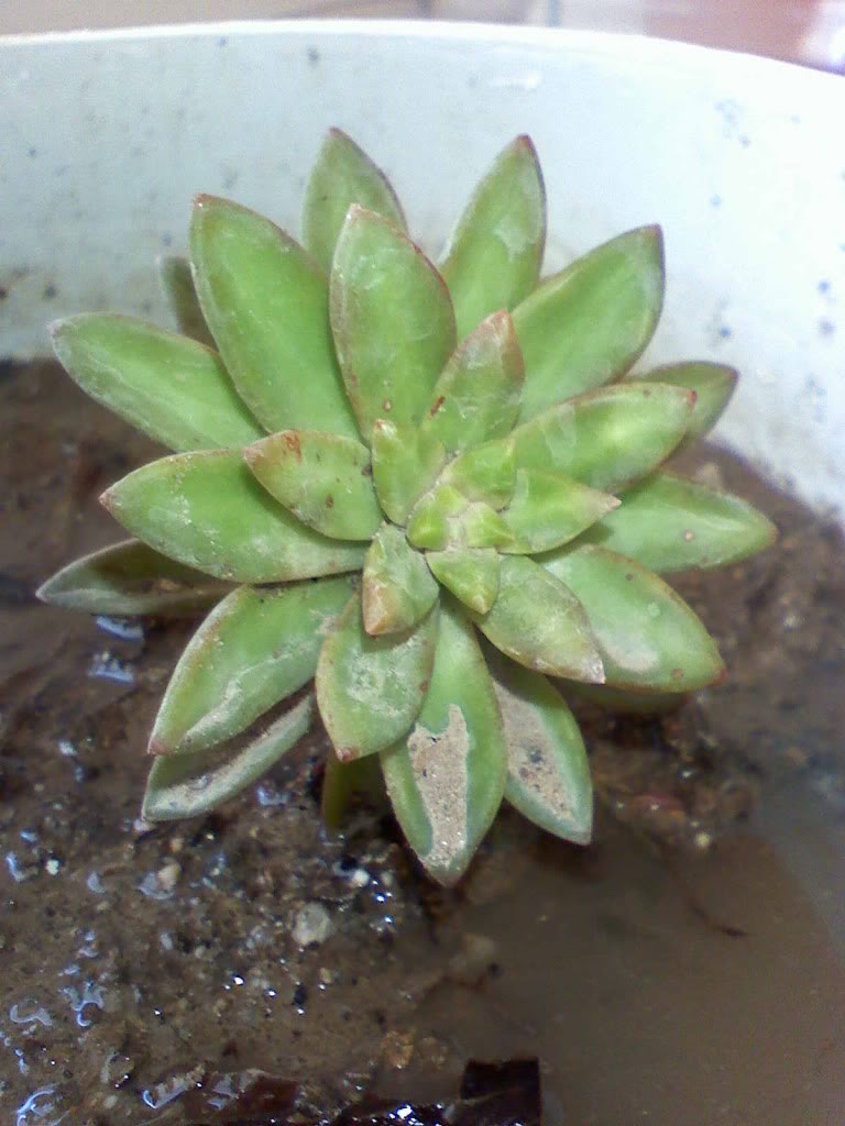 040110124602.jpg