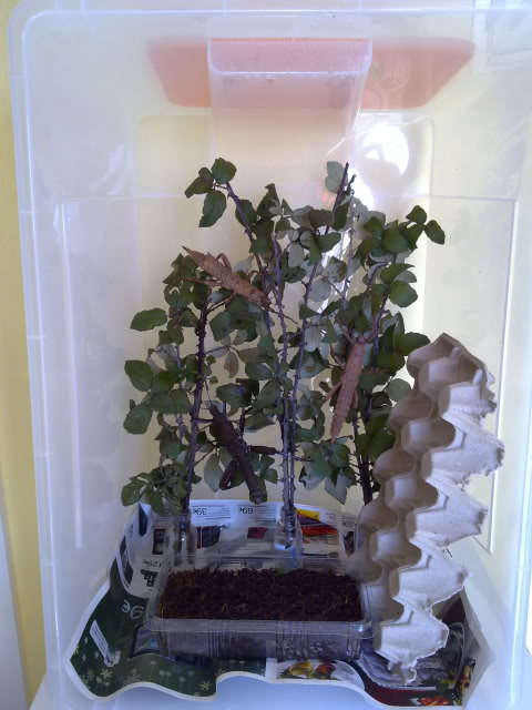 040220111045.jpg