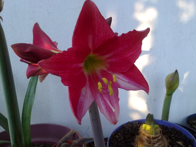 04022012582.jpg